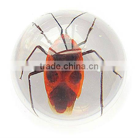 6.0 cm real resin acrylic marble ball with bugs
