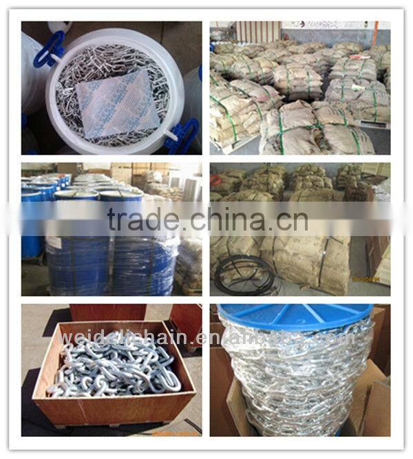 Steel Animal Chain with Factory Price