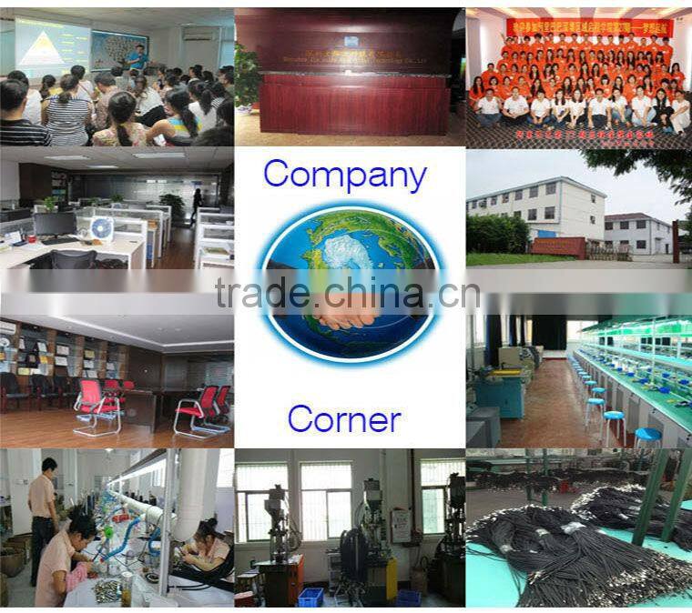 High Quality Promotional Gift Car Charger/Vehicle Charger for Mobile Phone and Tablet PC with Double USB Port By Jin Huibo