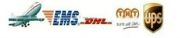 Pet Eye View Dog Puppy Kitten Cat Pet Collar digital Camera