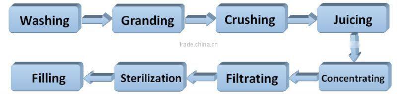 Professional turnkey project water chestnut juice extracting line for apple,pear,pineapple,carrot,etc.