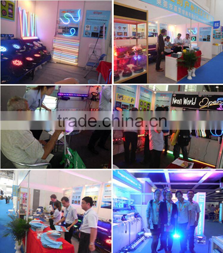 DMX512 system 1000mm DC24V RGB digital neon led tube, led neon flexible tube