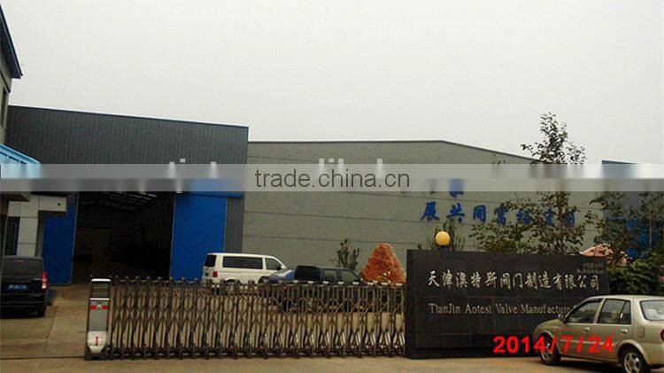 CV-DS008 ISO 228 brass check valve with filter