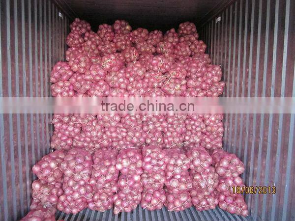 Fresh Onion Market Price
