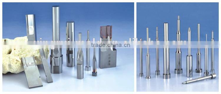 Dongguan China factory carbide punches die punch and die punch tools