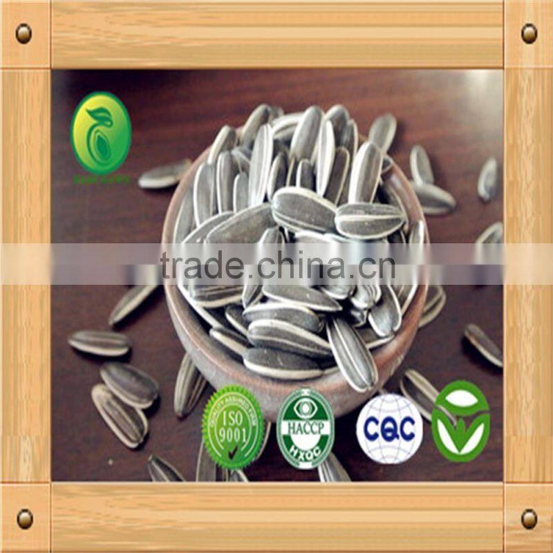 Shine Skin Pumpkin Seeds squash seeds best face lotion dry skin