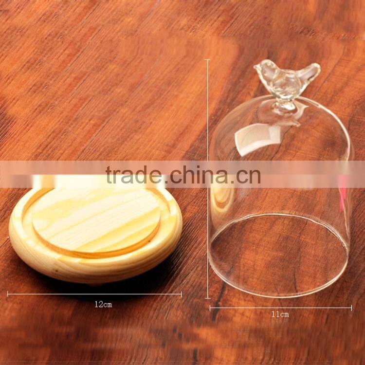 glass bell dome with wood