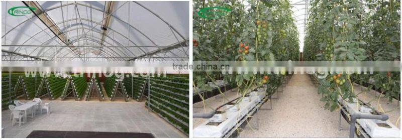 Commercial Greenhouse with Cooling System