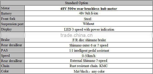 fat bike,removable electric bicycle motor