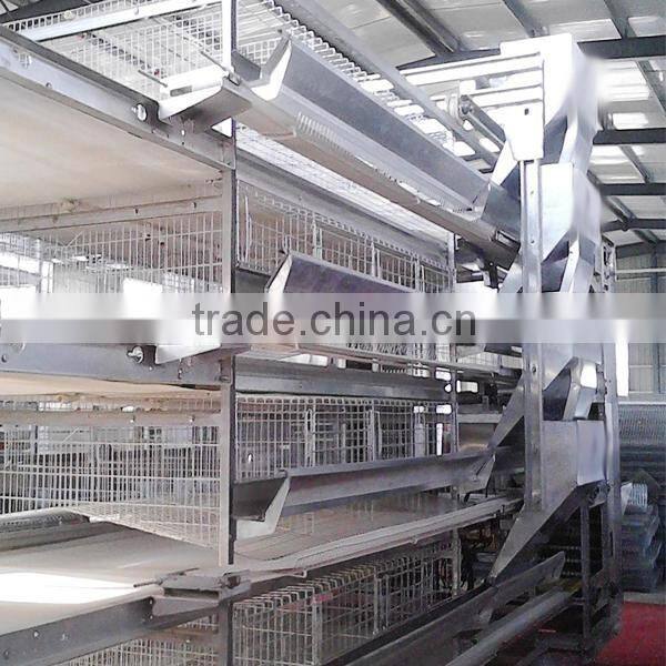 durable automatic feeder for chicken