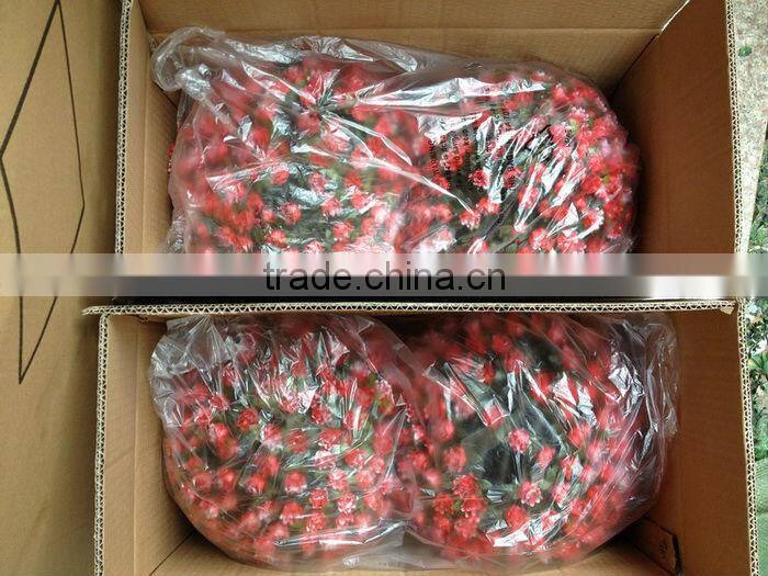 Artificial Grass Ball/Melon Grass Ball