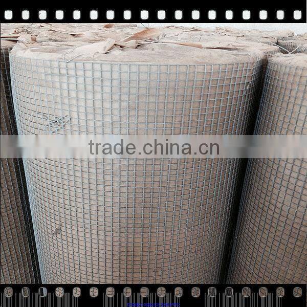 3/4 inch galvanized welded wire mesh best quality