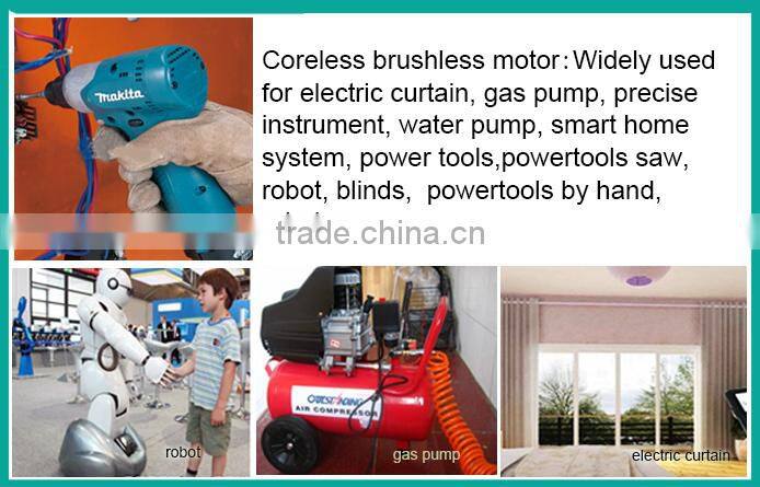 Low voltage 12 volt hydraulic pump motor brushless dc motor