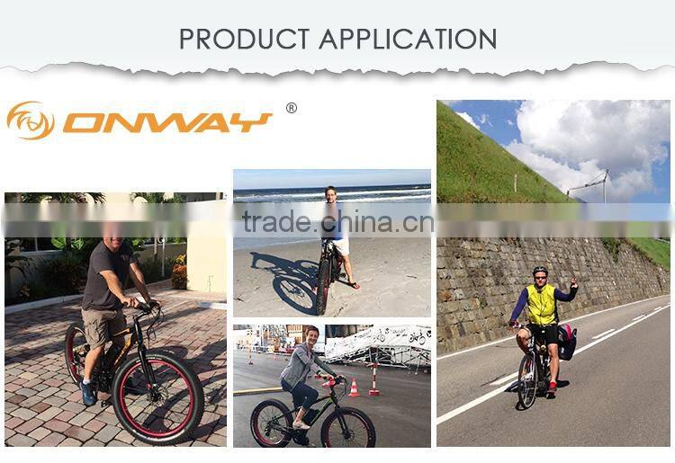 ONWAY Electric Bike Digital LED Display