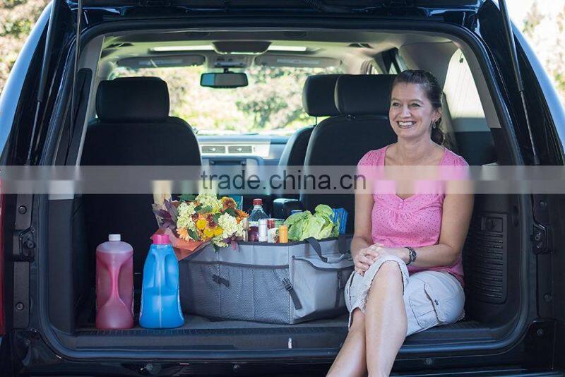 Big Ant Car Trunk Organizer - Cooler Storage for Auto Front & Back Seat, Collapsible - Hold Vehicle Cargo Secure and Prevent Sli