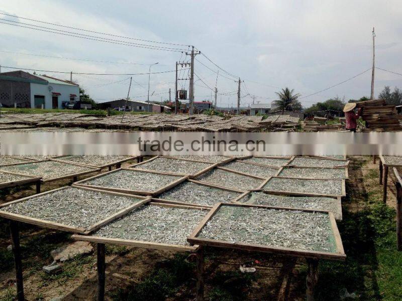 SUPPLIER DRIED SPRATS SILVER LINE EXPORT TO SRILANKA (Email: katherine.vilaconic@ , Viber, Whatsapp: +841687264621)