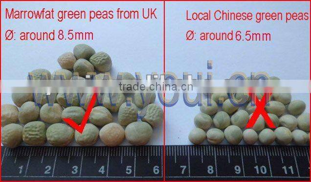 Pure Natural Salted Flavor Green Peas BRC