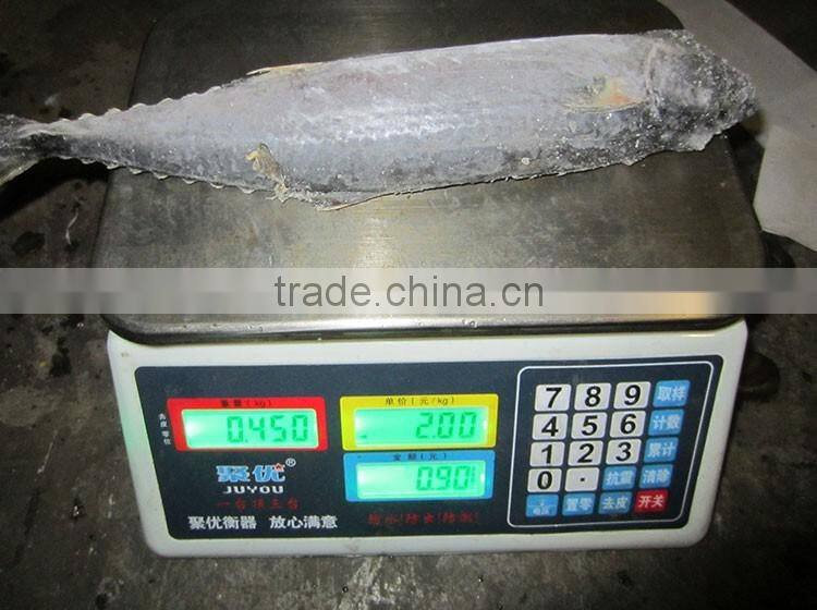 fresh steak mackerel frozen king fish