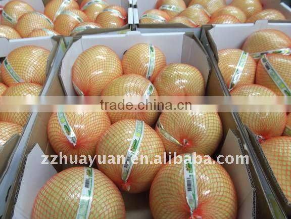 Chinese Guanxi Fresh Shatian pomelo