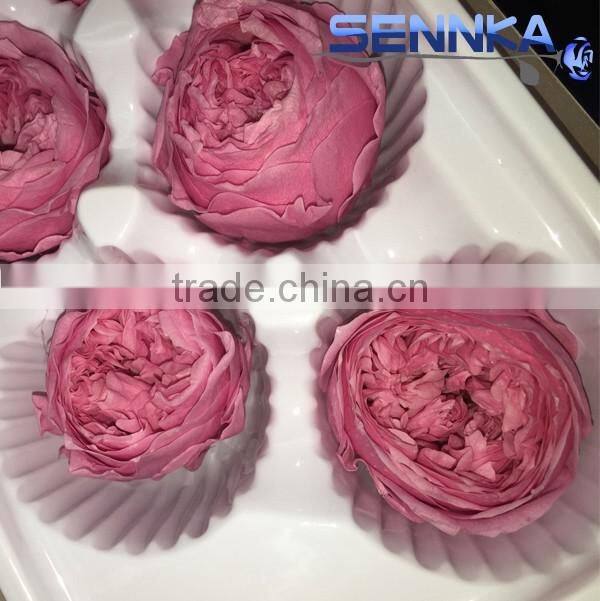 Happy Valentine Glass Dome Preserved Rose Wholesale For Gift