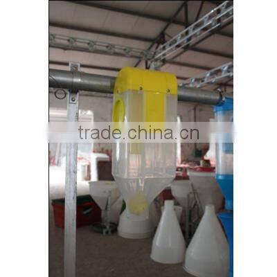 Automatic Pig Feeding system