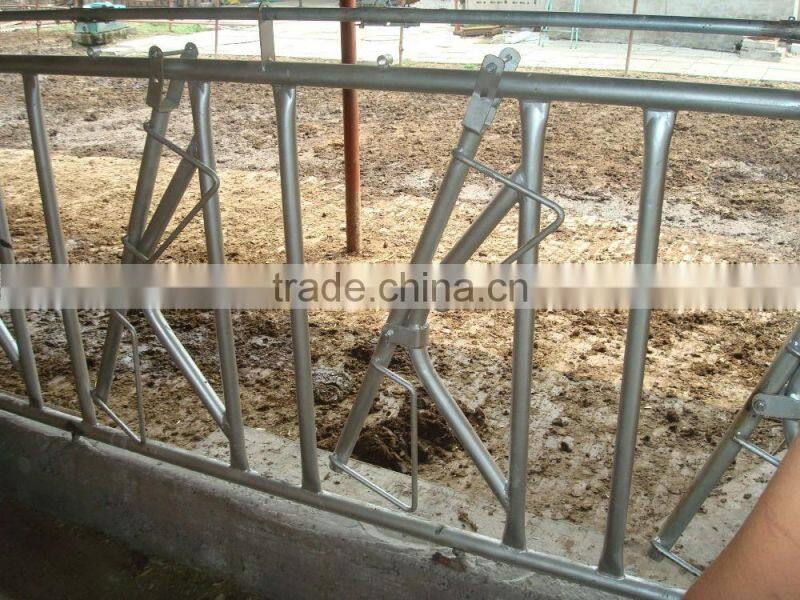 Steel Tube Cattle Headlock Fence Panels