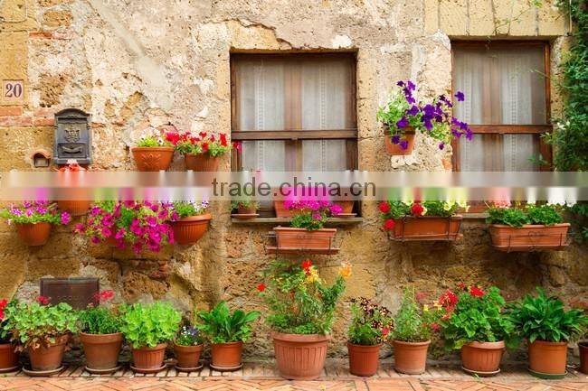 fashion uesful flower pots,garden hot pot