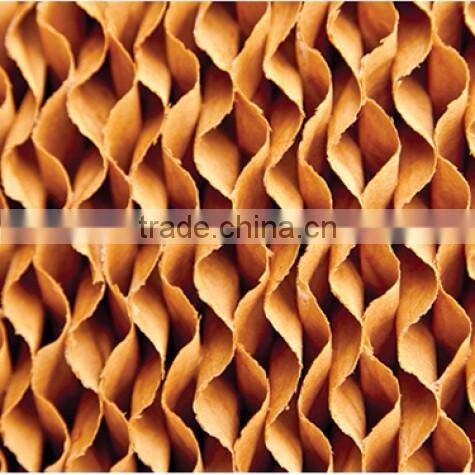 China Evaporative Cooling Pad For Greenhouse and Poultry house