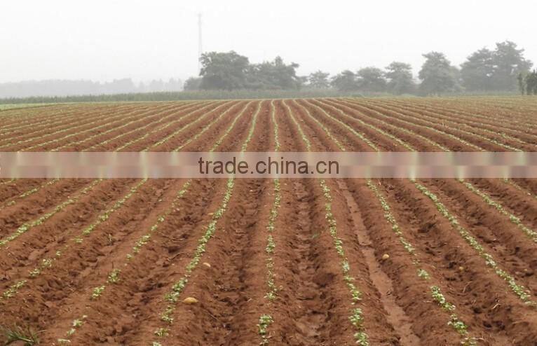 Farmer mature hand corn planter