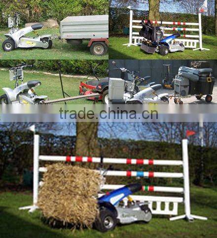 1000W Utility Electric Bike SX-E0906-3A