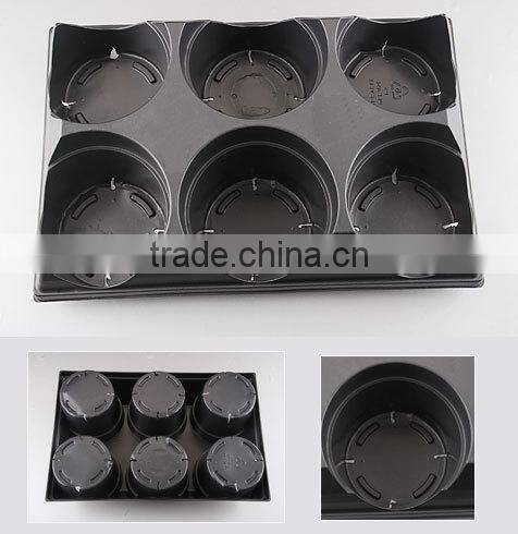 6 park plastic plant carrier