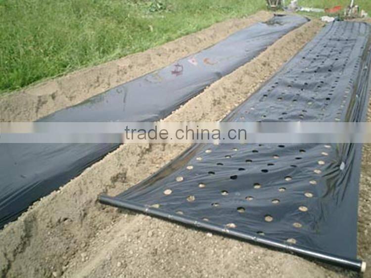 PE Agriculture Perforated Plastic tomato tube film