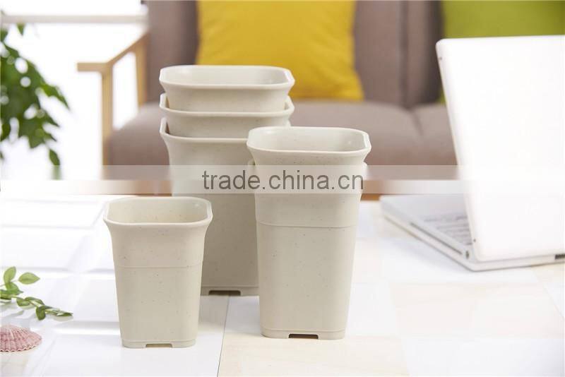 Plastic Tall Fleshiness Square Flower Pot