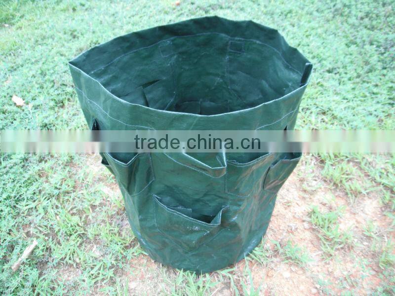 Popular PE Strawberry Planter Bag,Grow Bag