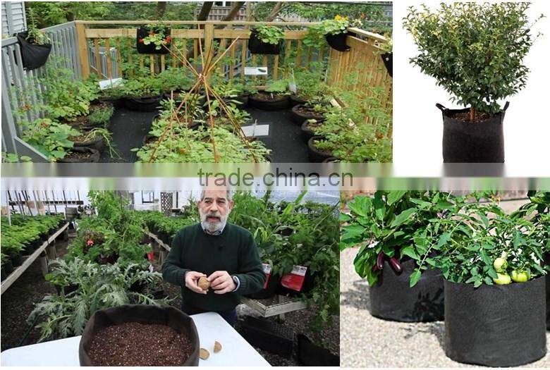 Polyester felt grow pot, grow bag, planter