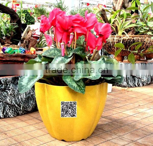 230*180 Biodegradable Colorful Plant Flower Pot Eco Planer