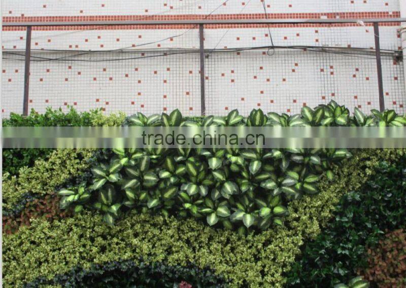 fake green wall/artificial green wall vertical plant wall