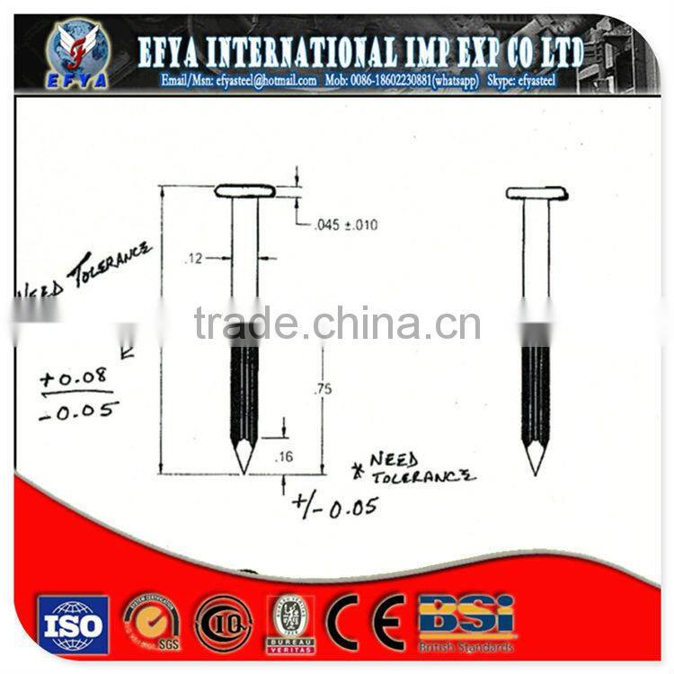 round head stainless steel nail