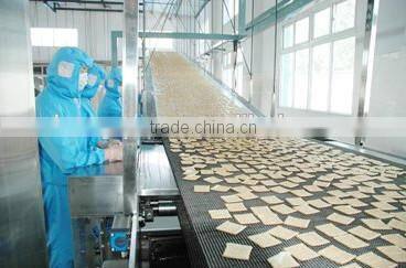 canvas webbing/endless cotton biscuit webbing/cotton belt for bake biscuit shengquan