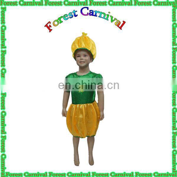 20141315 Popular New Fashion Vegetable Costumes For Kids