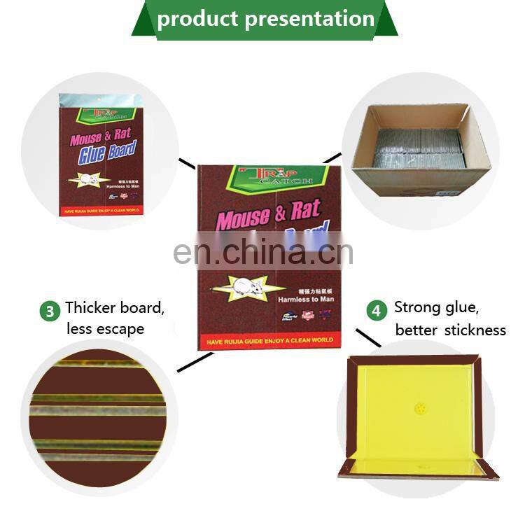 Wholesale Animal Traps Bedbug Killer Eco-Friendly Feature Mouse Trap Rat Mouse Glue Traps
