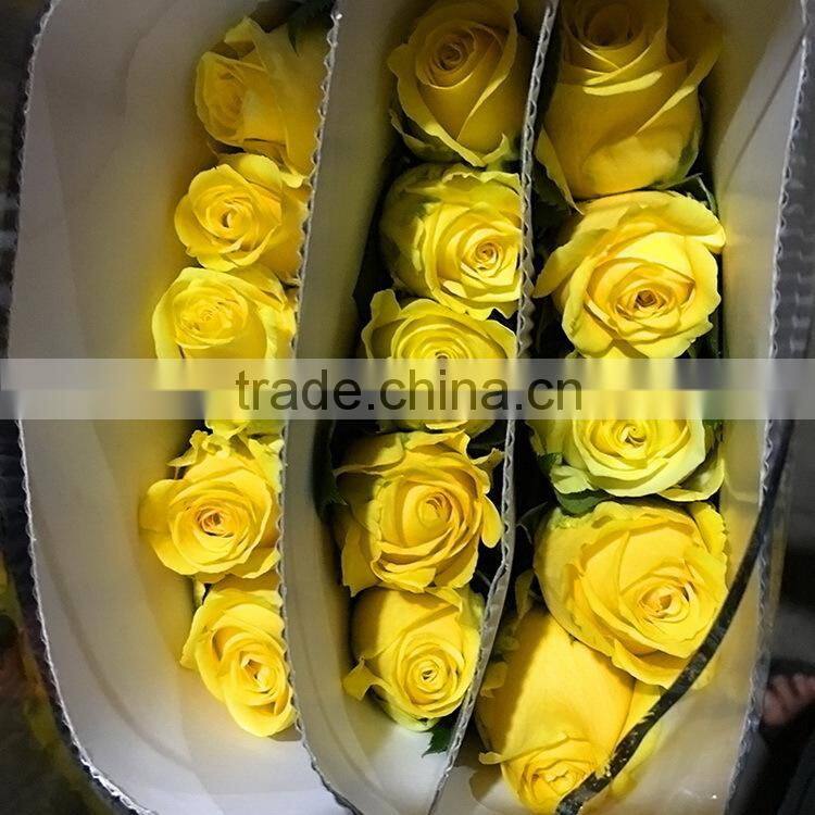 Top quality most popular gold plated gift rose