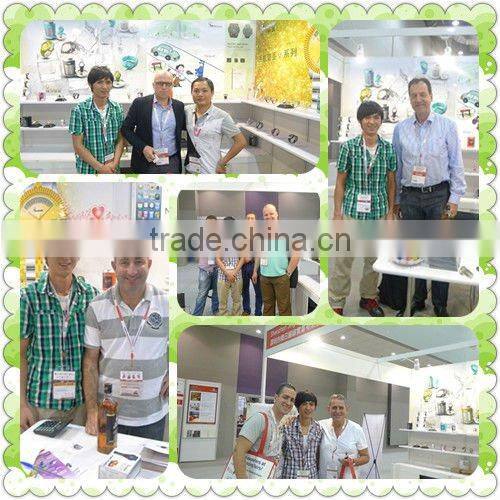 PayPal ,new products 2013 japan movt quartz watch,ladies watches top brand