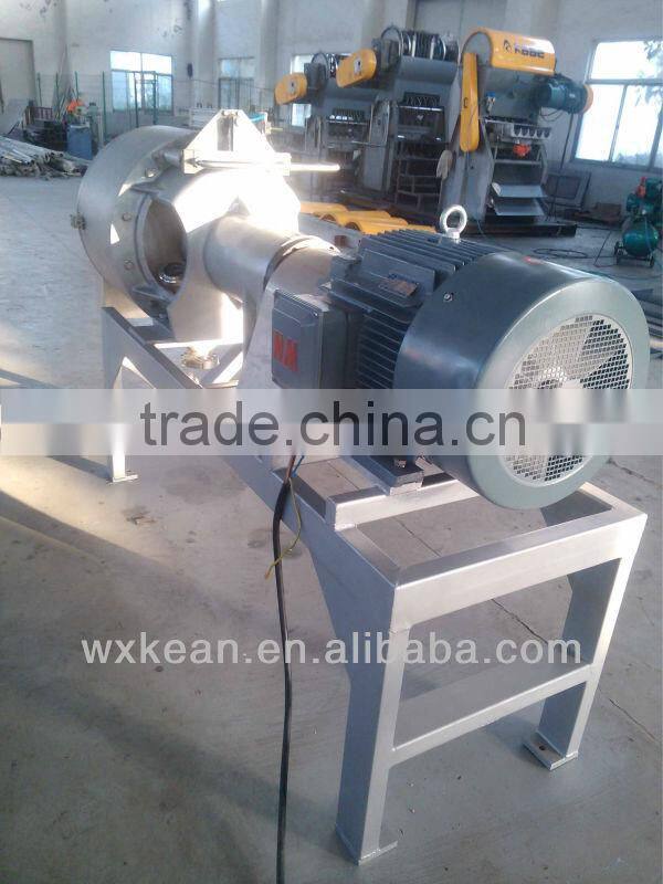 Hot sale automatic fruit and vegetable beating machine