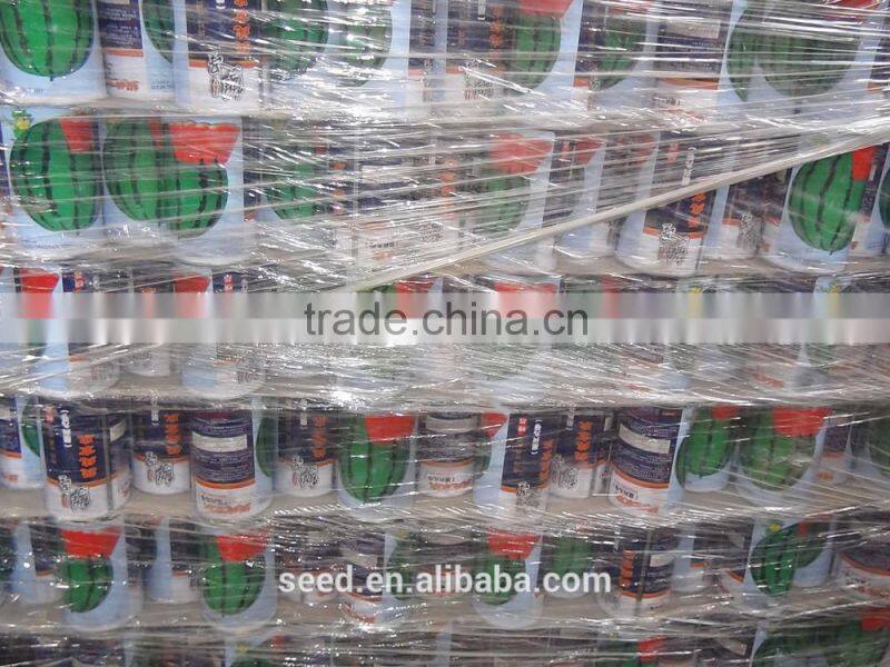 open pollinated leafy caraway seeds Big Leaf