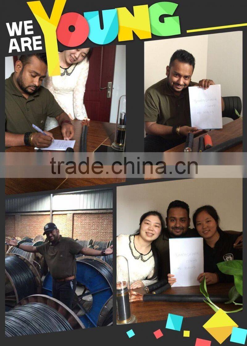 Ronghua Cable 0.6/1KV AL/XLPE/SWA/PVC Armoured Aluminum Cable