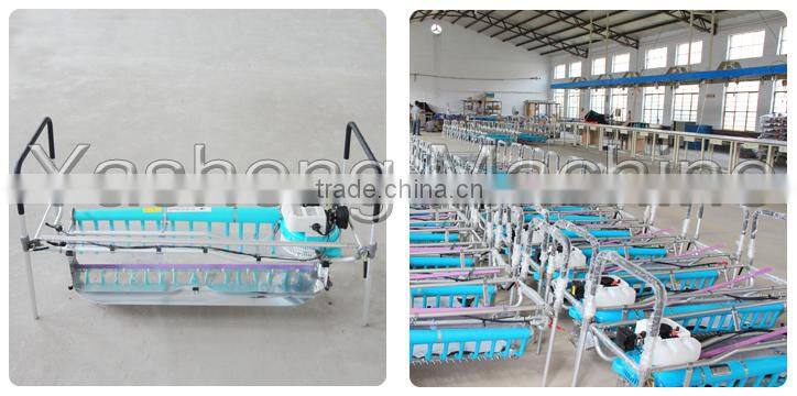 Hot Sale Two-man Tea Picker for Sale