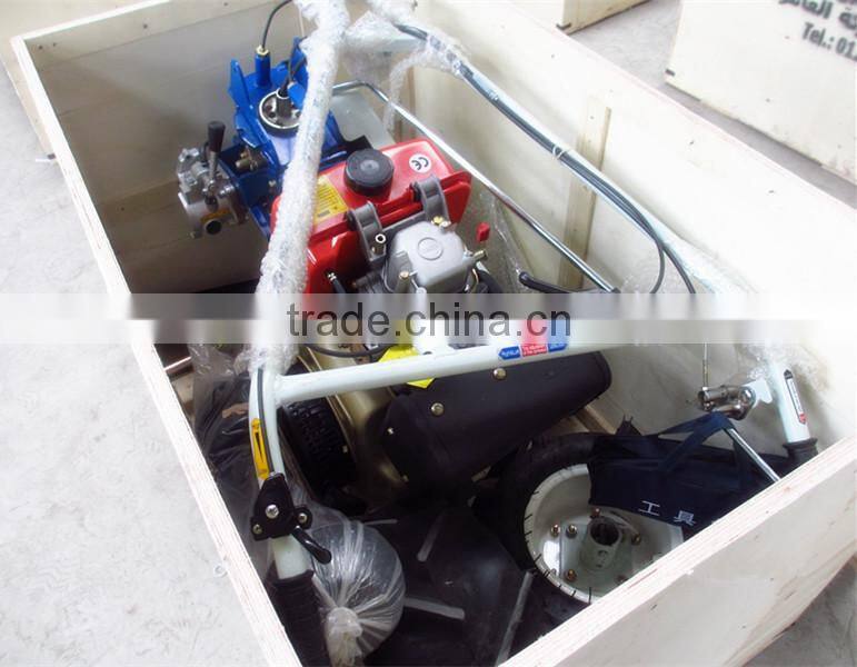 Mini Self-walking 4 lines diesel hay harvester