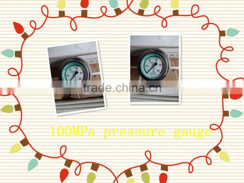 shatter proof 0-100MPa Digital Pressure Gauge,low price