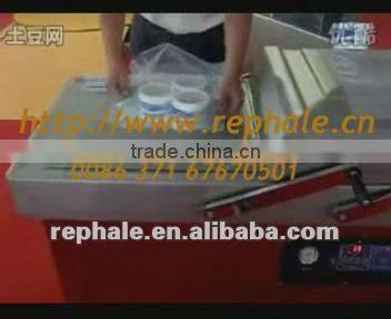 Model DZ-600-2S Vacuum Packing Machine